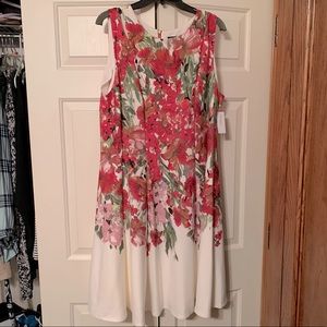 NWT roz & ali dress!